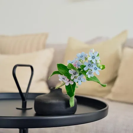 C4 Mit Terrasse & Nutzung Der Wellness- & Aktivbereiche Im 