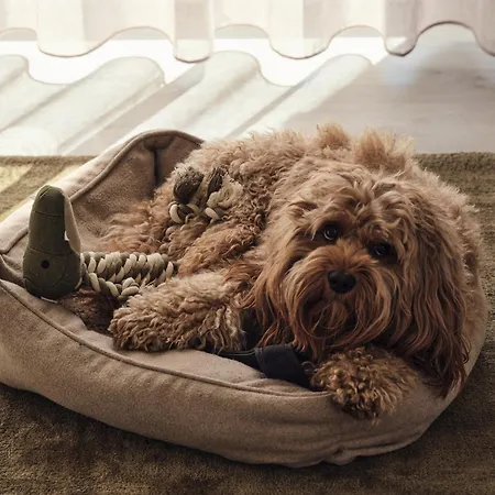 Apartment C4 Mit Terrasse & Nutzung Der Wellness- & Aktivbereiche Im 